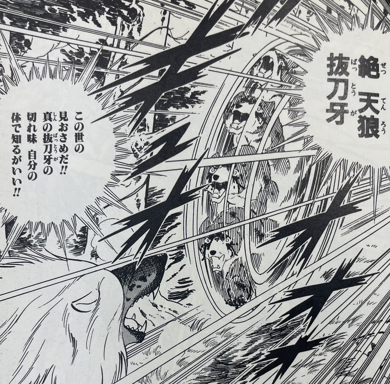 公の場での発言・インタビュー報道記録